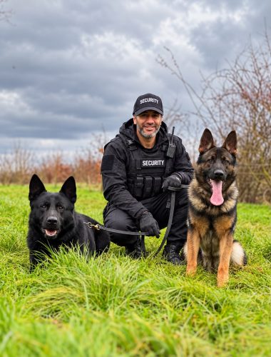 Security dog handler kneeling with two German Shepherd security dogs on grass
