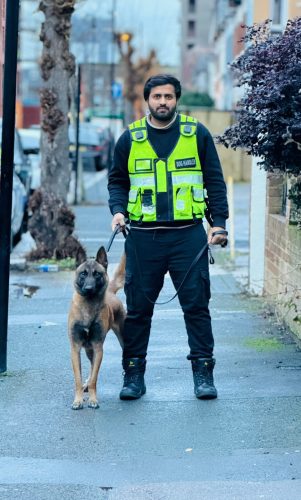 Security dog handler in hi-vis with a Belgian Malinois on a street